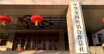 协会动态