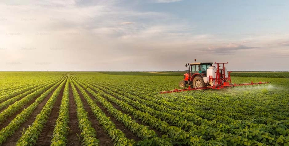 乡村振兴人才培育体系重构：以农产品经纪人国际化能力建设为核心