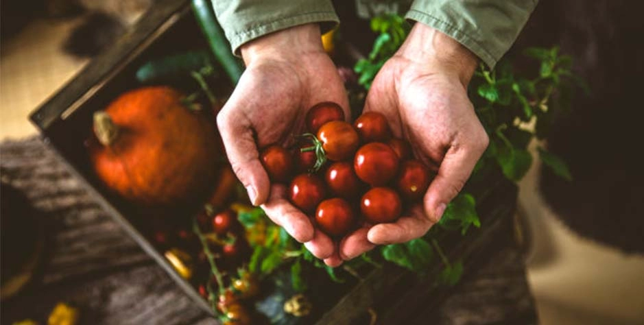 农业全产业链标准化建设研究&mdash;&mdash;从田间到餐桌的质量管控体系构建