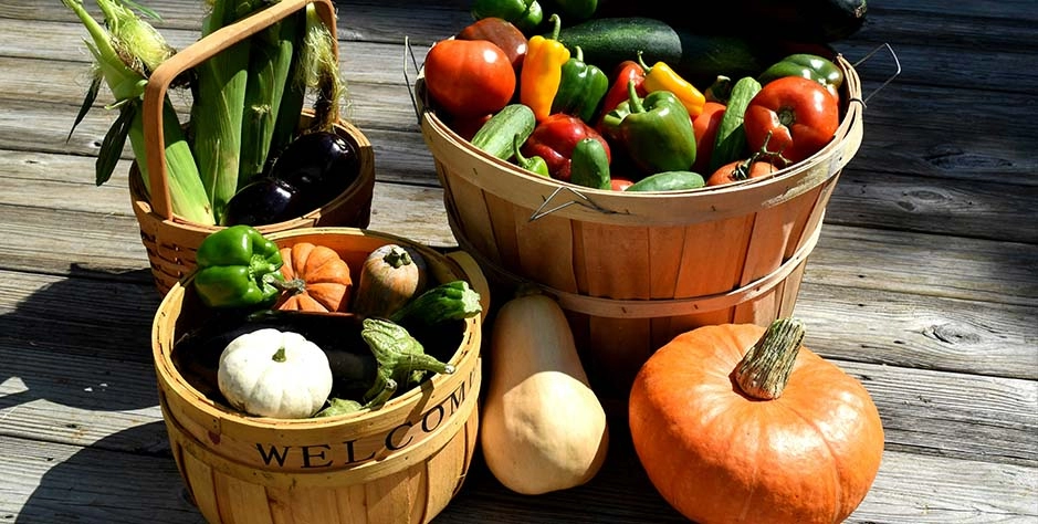 全国农产品批发市场一周价格行情监测报告（2025年5月23日&mdash;2025年5月29日）