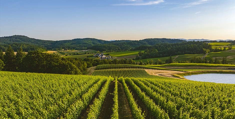 扬帆出海正当时！&mdash;&mdash;中国农产品流通经纪人协会携手会员企业开启新征程