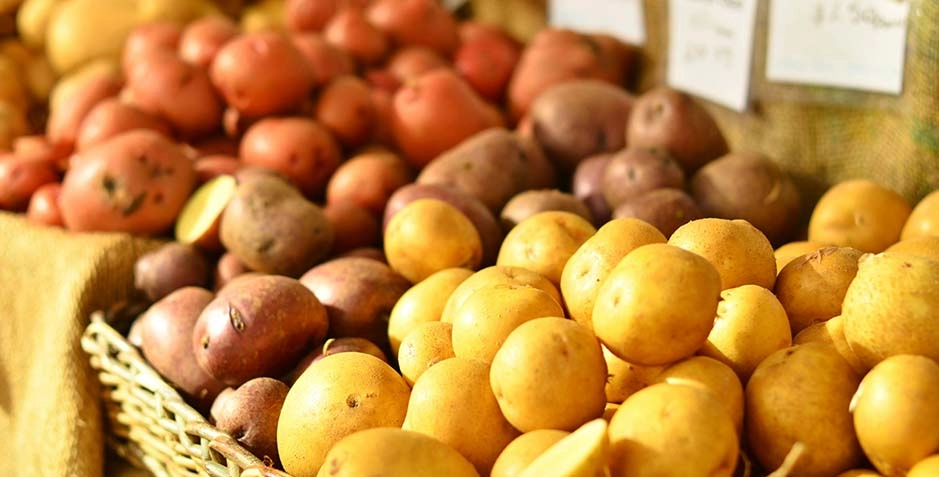 打造三产融合新标杆:郑州国家中心城市建设的农业现代化突破口