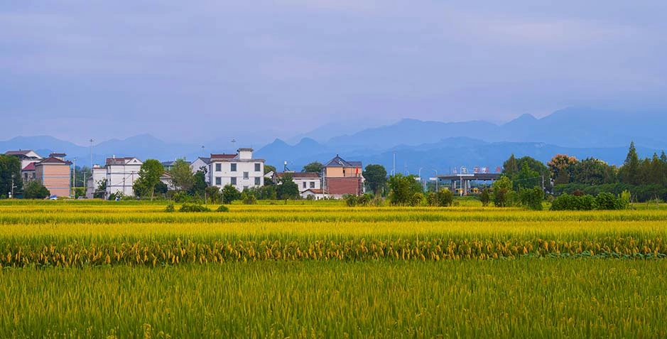 大力发展&ldquo;水基建&rdquo;，筑牢绿色发展水生态防线