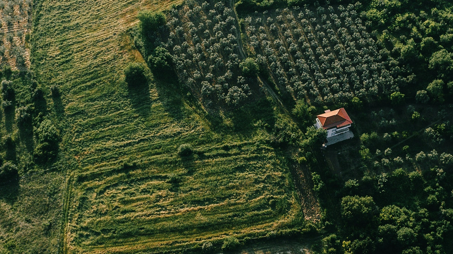 分会成功举办&ldquo;RCEP框架下农产品进出口机遇与规则解读&rdquo;专题研讨会